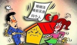 西湖爆料情感纠纷案件最新,一场剪不断理还乱的纠纷风云